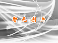 &#26143;&#31354;&#20307;&#32946;